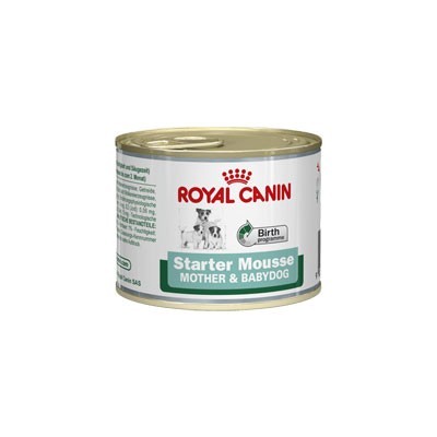 Starter mousse 195gr