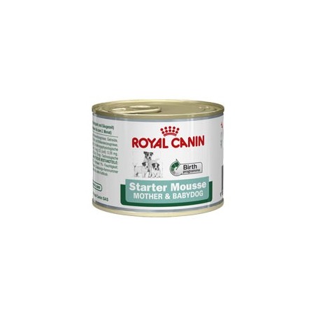 Starter mousse 195gr