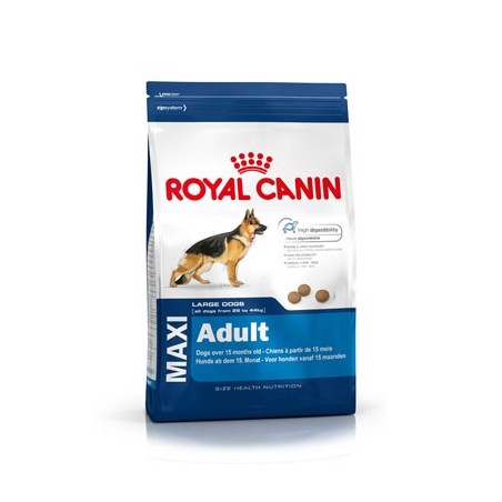 Maxi Adult 15kg