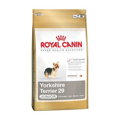 Yorkshire Terrier 0.5kg