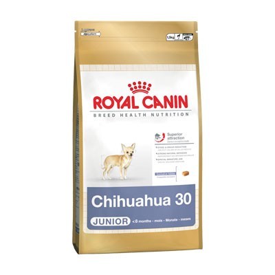 Chihuahua Junior 0.5kg