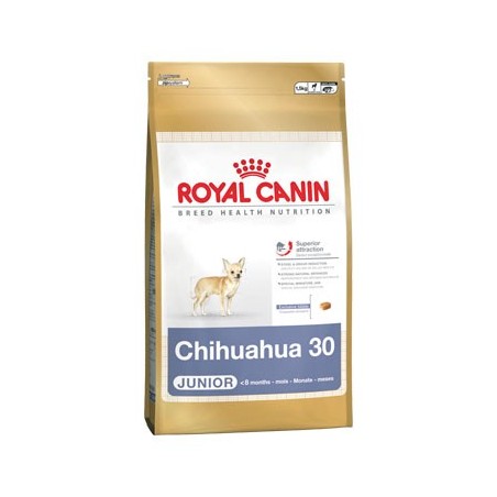 Chihuahua Junior 0.5kg
