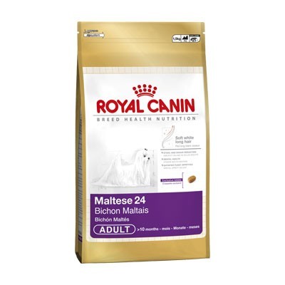 Bichón Maltés (Maltese 24) 0.5kg