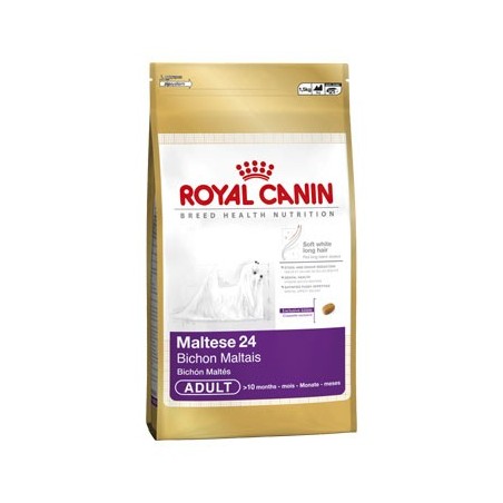 Bichón Maltés (Maltese 24) 0.5kg