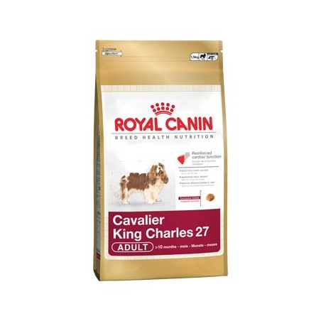 Cavalier King Charles 1.5kg