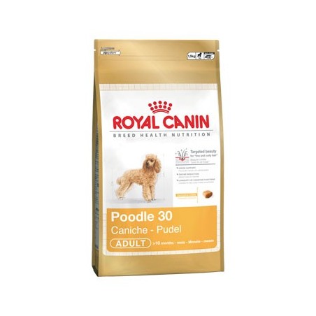 Caniche (Poodle) 0.5kg