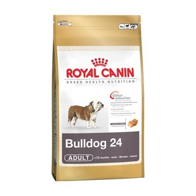 Bulldog inglés adulto 3kg