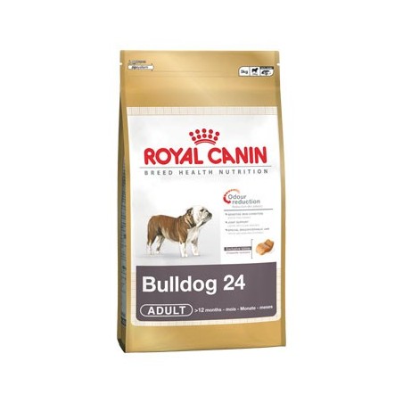 Bulldog inglés adulto 3kg