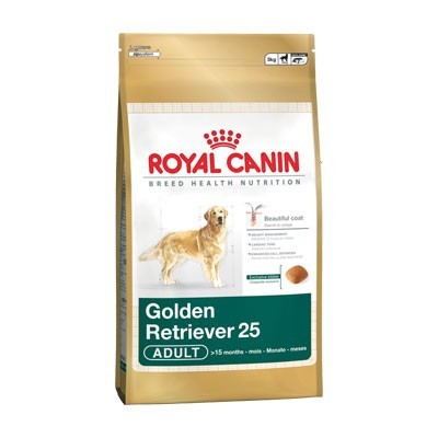 Golden Retriever Adulto 3kg