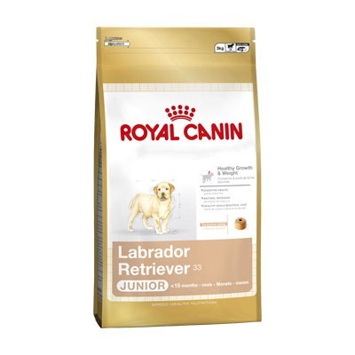 Labrador Retriever Junior 3kg