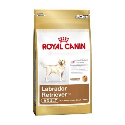 Labrador Retriever Adulto 3kg