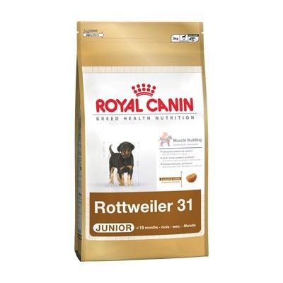 Rottweiler Junior 12kg